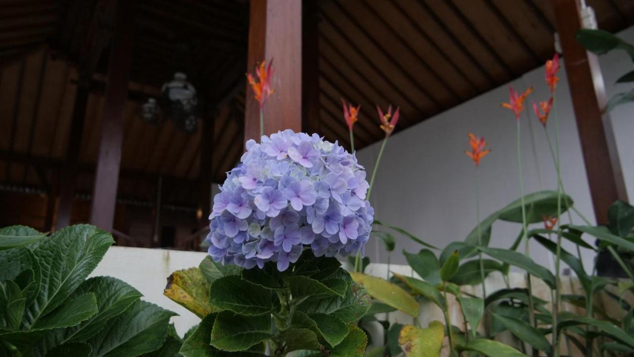 Sanggar Pantcha Indra Guest House Kemuning Luaran gambar