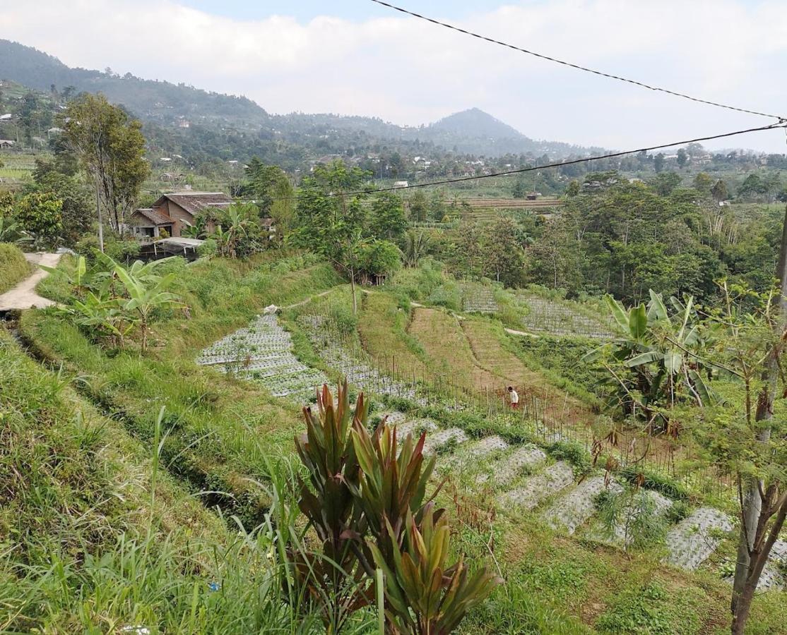 Sanggar Pantcha Indra Guest House Kemuning Luaran gambar